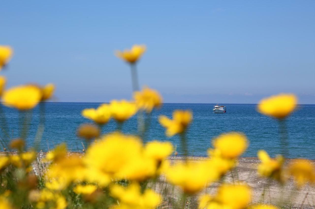 Casa Verdemare Cefalu